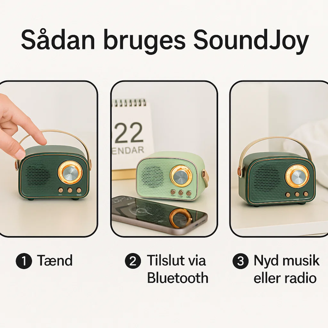Avelena | SoundJoy | Tragbarer Retro Lautsprecher mit FM Radio