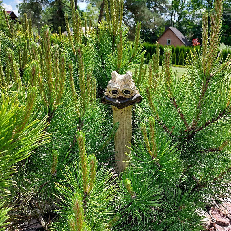 Avelena | CluckyCharm - Die witzige Gartendeko mit Charakter!