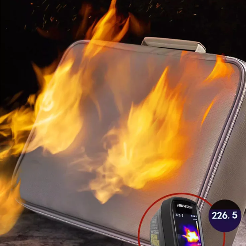 Avelena | Eine Feuerfeste Aufbewahrungs Tasche mit Reißverschluss für Dokumente