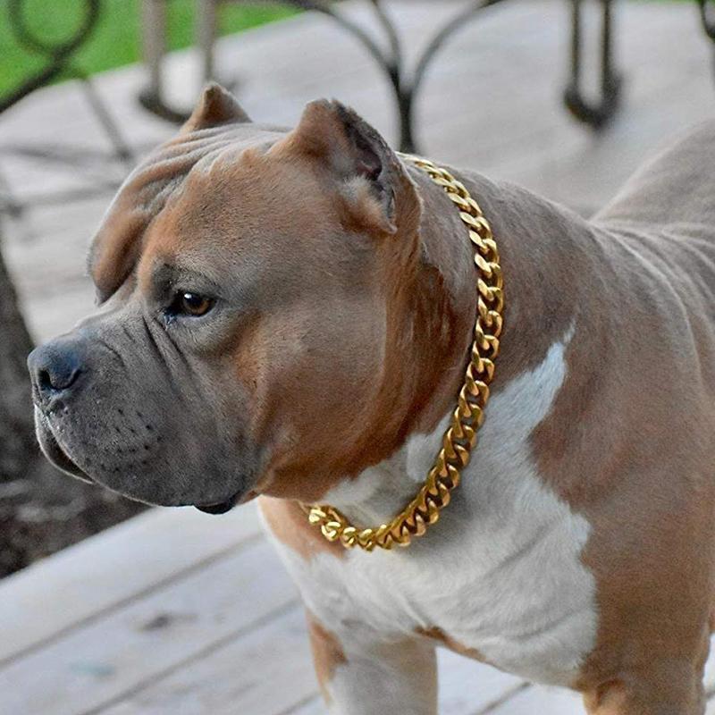 Avelena | Titanstahl Haustier Hundekette