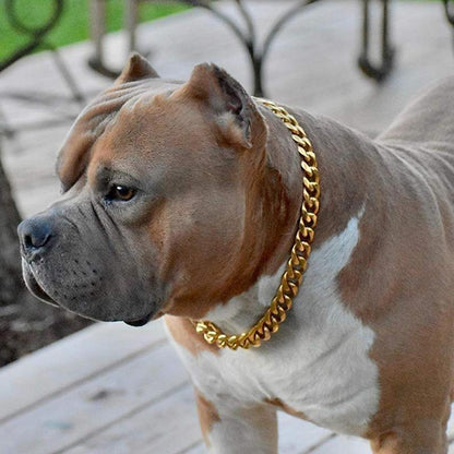 Avelena | Titanstahl Haustier Hundekette