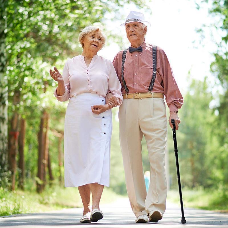 Avelena | Einstellbarer faltbarer LED Stock