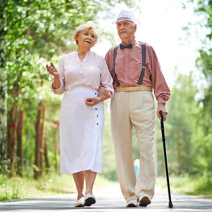 Avelena | Einstellbarer faltbarer LED Stock