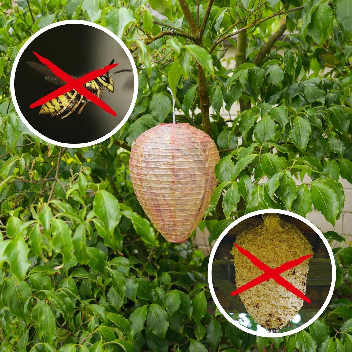 Avelena | Wespennest Abwehr Lampe – Hängendes Schutznetz gegen Wespen und Insekten