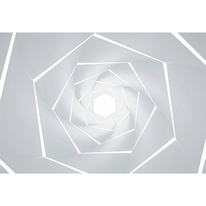 Avelena | Illustrationsstil Große Wandmalereien, 3D Endozentrische Geometrien Wandverkleidung für Galerie, Maßgeschneidert