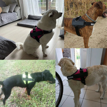 Avelena | Anti-Würgen Hundegeschirr