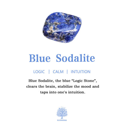 Avelena | Frendorf 2,5 Zoll Kristall Dinosaurier Zuhause Dekoration Edelstein Deko