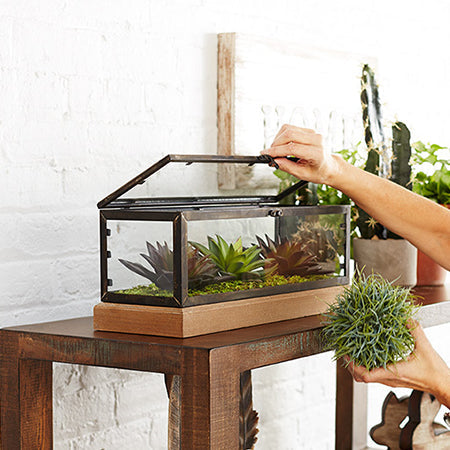 Avelena | Terrarium Gewächshaus Ausstellung