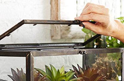 Avelena | Terrarium Gewächshaus Ausstellung