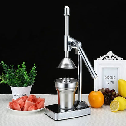 Avelena | Stainless Steel Fruit Juicer