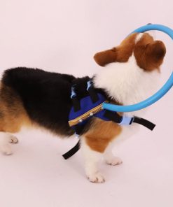 Avelena | Blindenhund Bumper Collar Geschirr