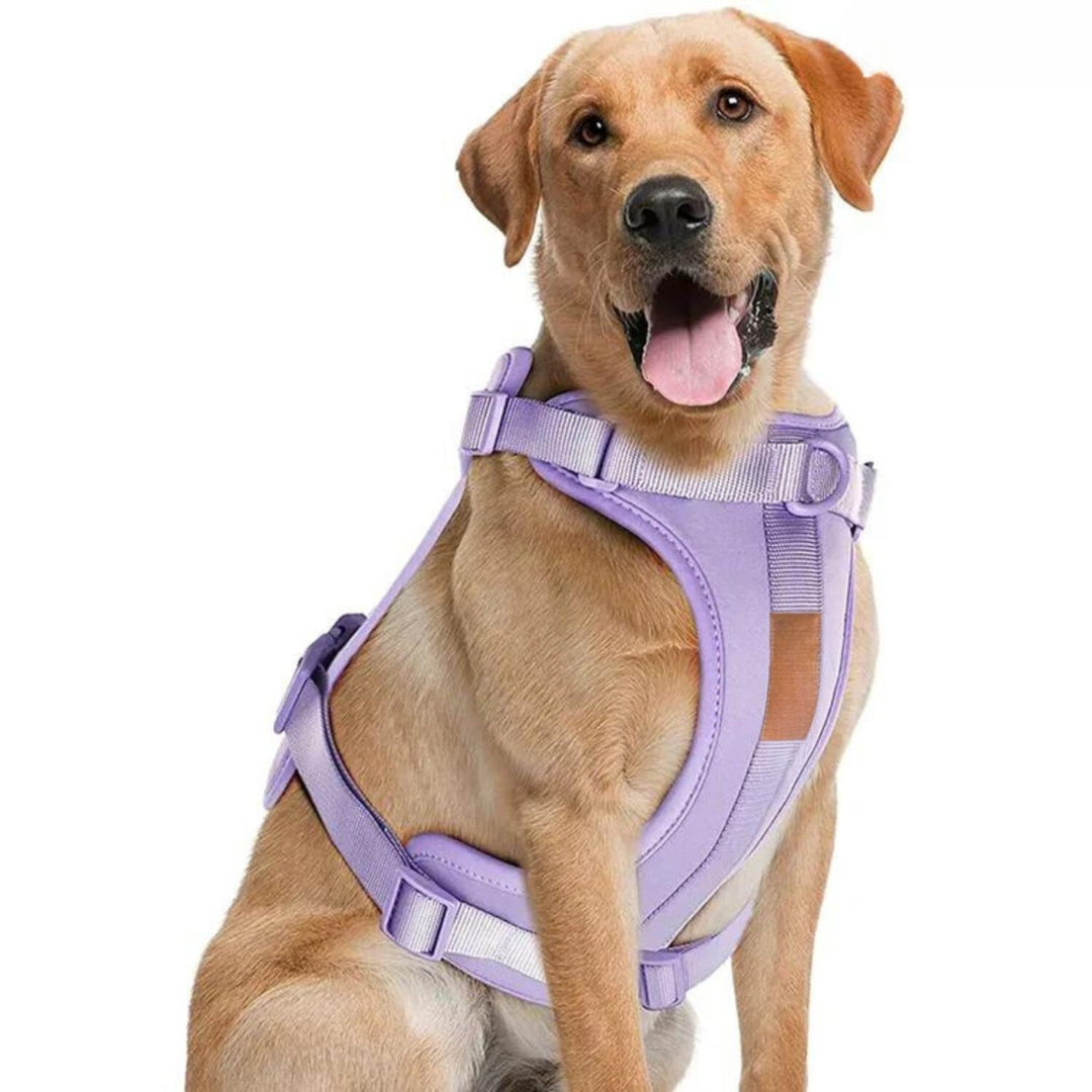 Avelena | ComfyPaws Hundegeschirr Walking Set mit Leine und Kotbeutelhalter