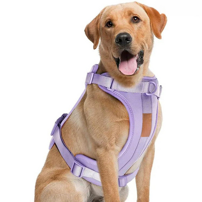 Avelena | ComfyPaws Hundegeschirr Walking Set mit Leine und Kotbeutelhalter