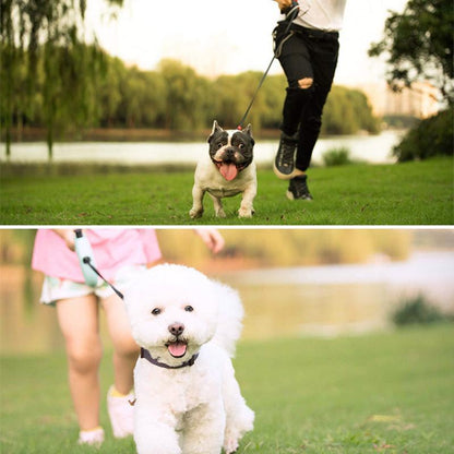Avelena | Flexi Hund Verstellbare Leine