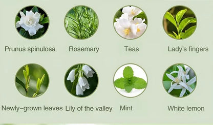 Avelena | Automatischer Aromatherapie-Diffusor