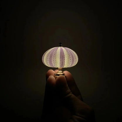 Avelena | Seeigel Nachtlampe - Lampe - Stimmungsvolle Beleuchtung
