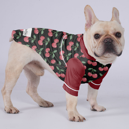 Avelena | Luna Pyjama Für Französische Bulldogge