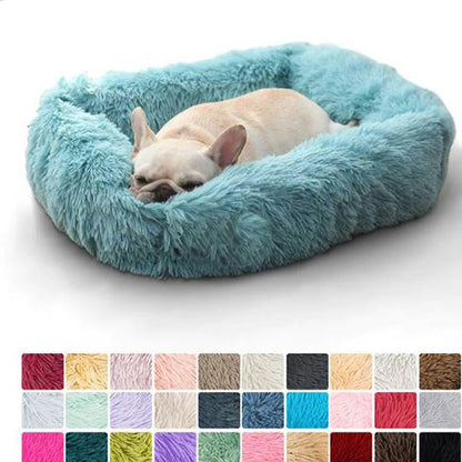 Avelena | Pawsrest Premium Rechteck Französisch Bulldoggenbett