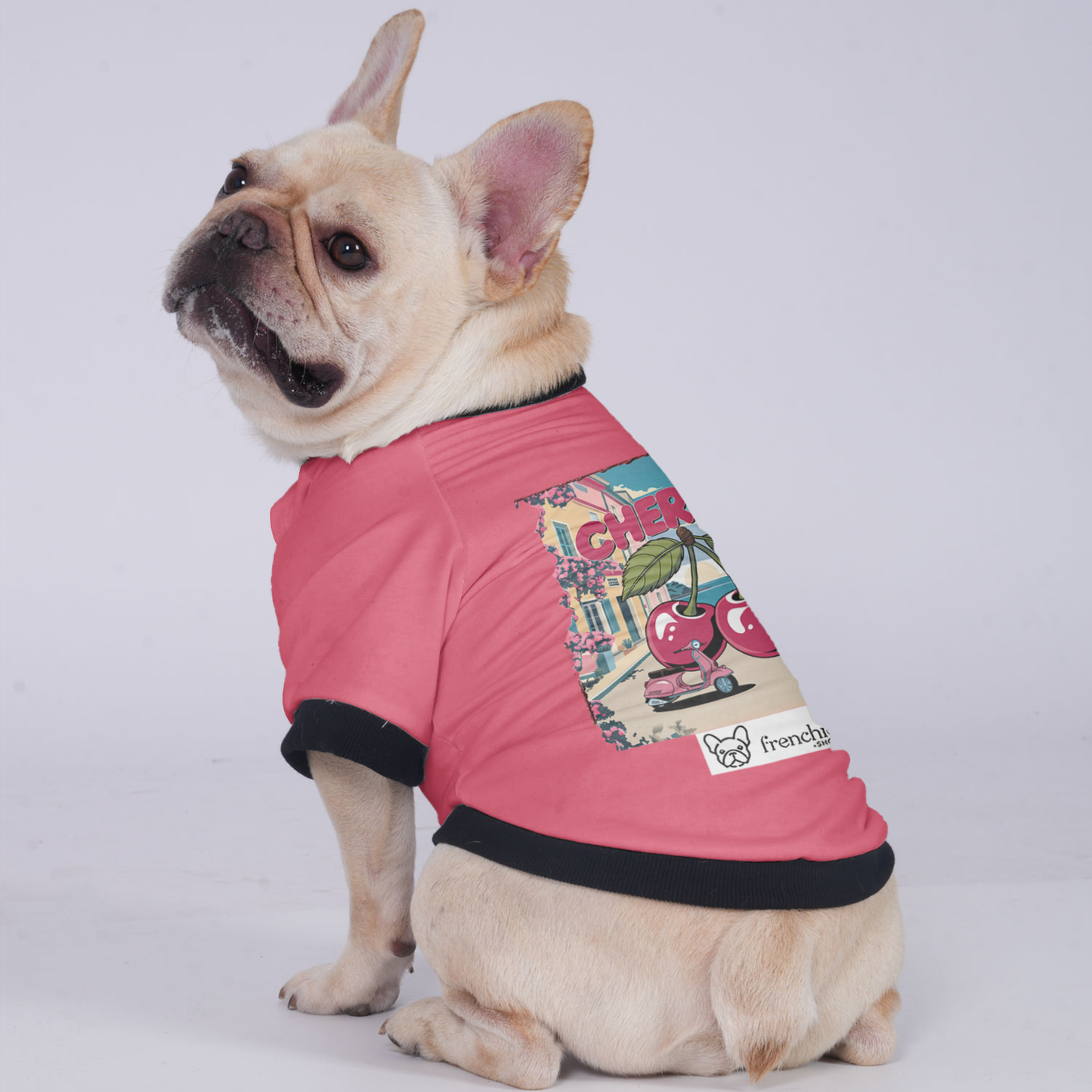 Avelena | Damen Jacke Für French Bulldog