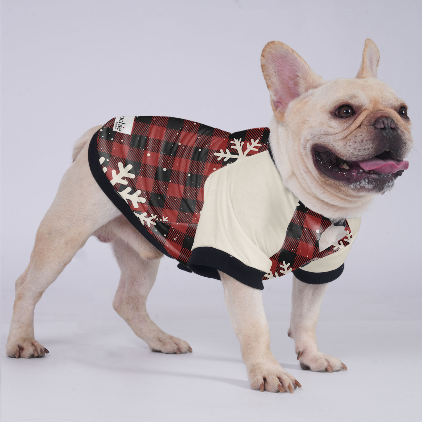 Avelena | Chloe Jacke Für Französische Bulldogge