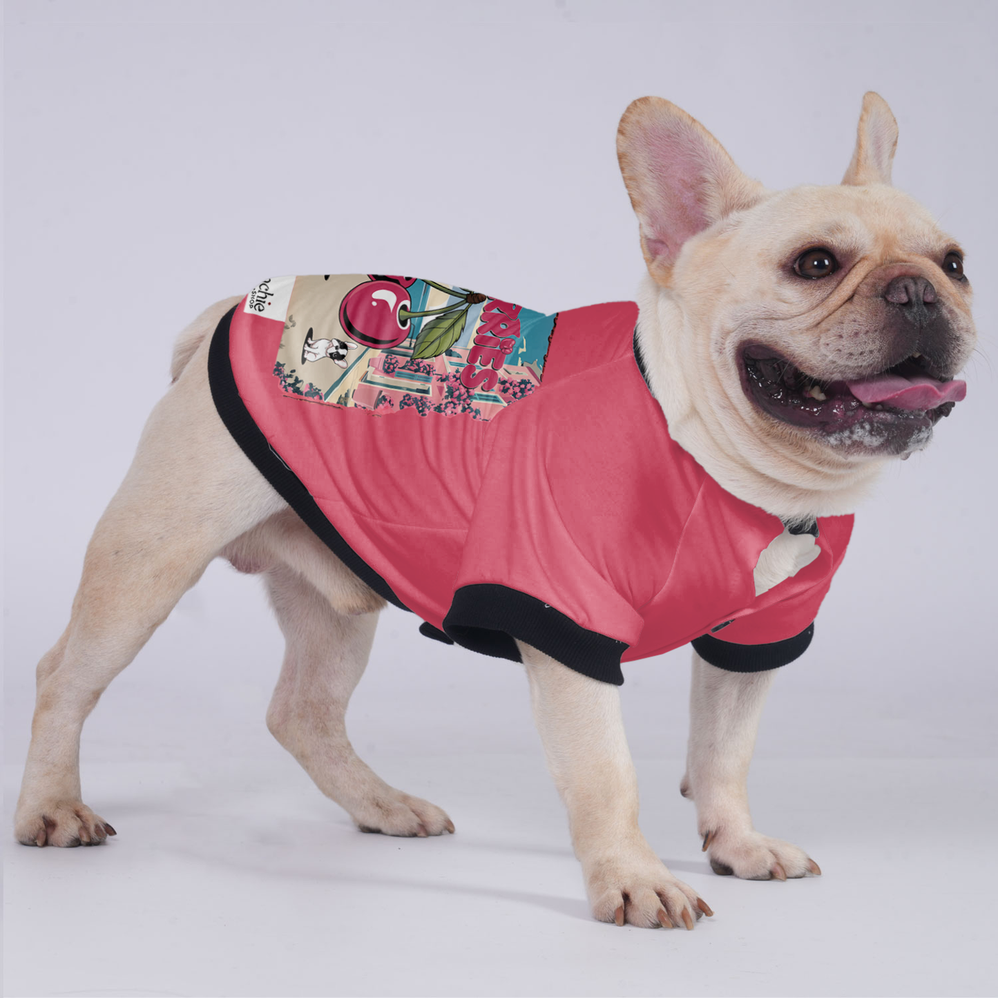 Avelena | Damen Jacke Für French Bulldog