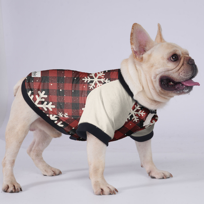 Avelena | Chloe Jacke Für Französische Bulldogge
