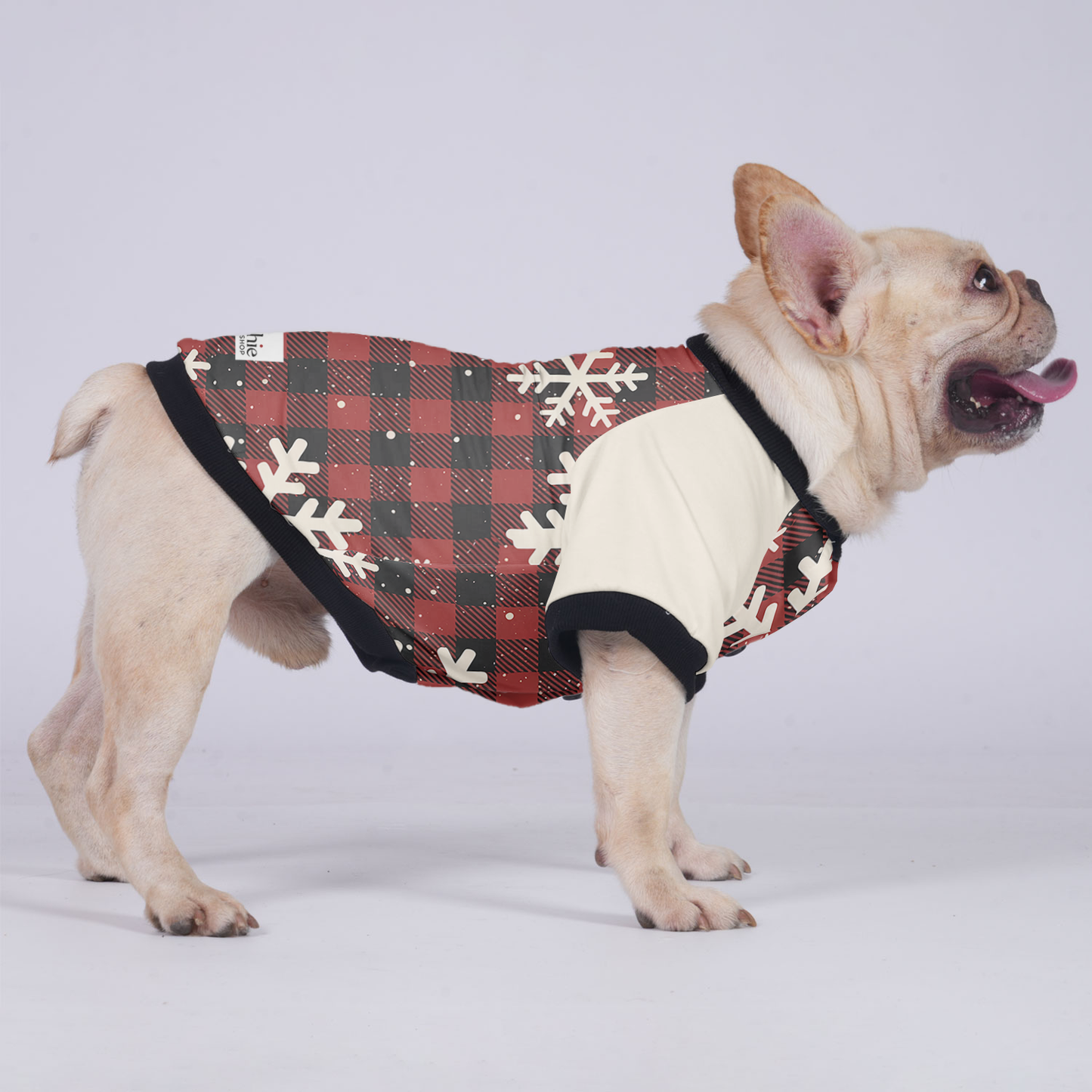 Avelena | Chloe Jacke Für Französische Bulldogge