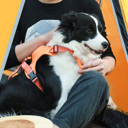 Avelena | Pet Brust-Rücken Integrierte Automatische Einziehbare Leine