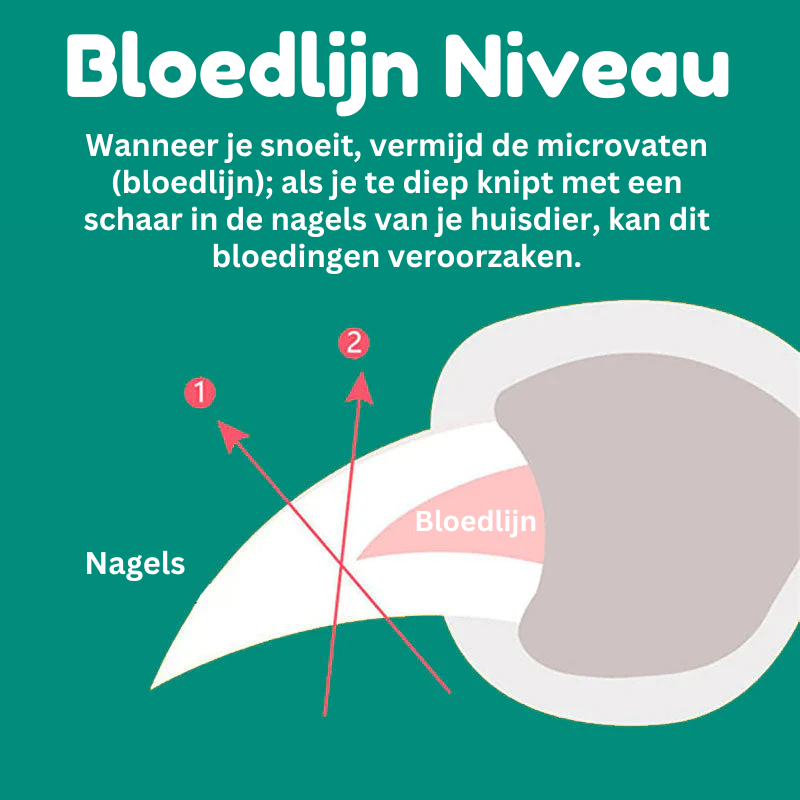 Avelena | MAX - Die besten Nagelschneider für Hunde mit Schnellsensoren