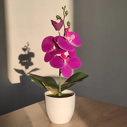 Avelena | Künstliche Bonsai Schmetterling-Orchidee Topfpflanze