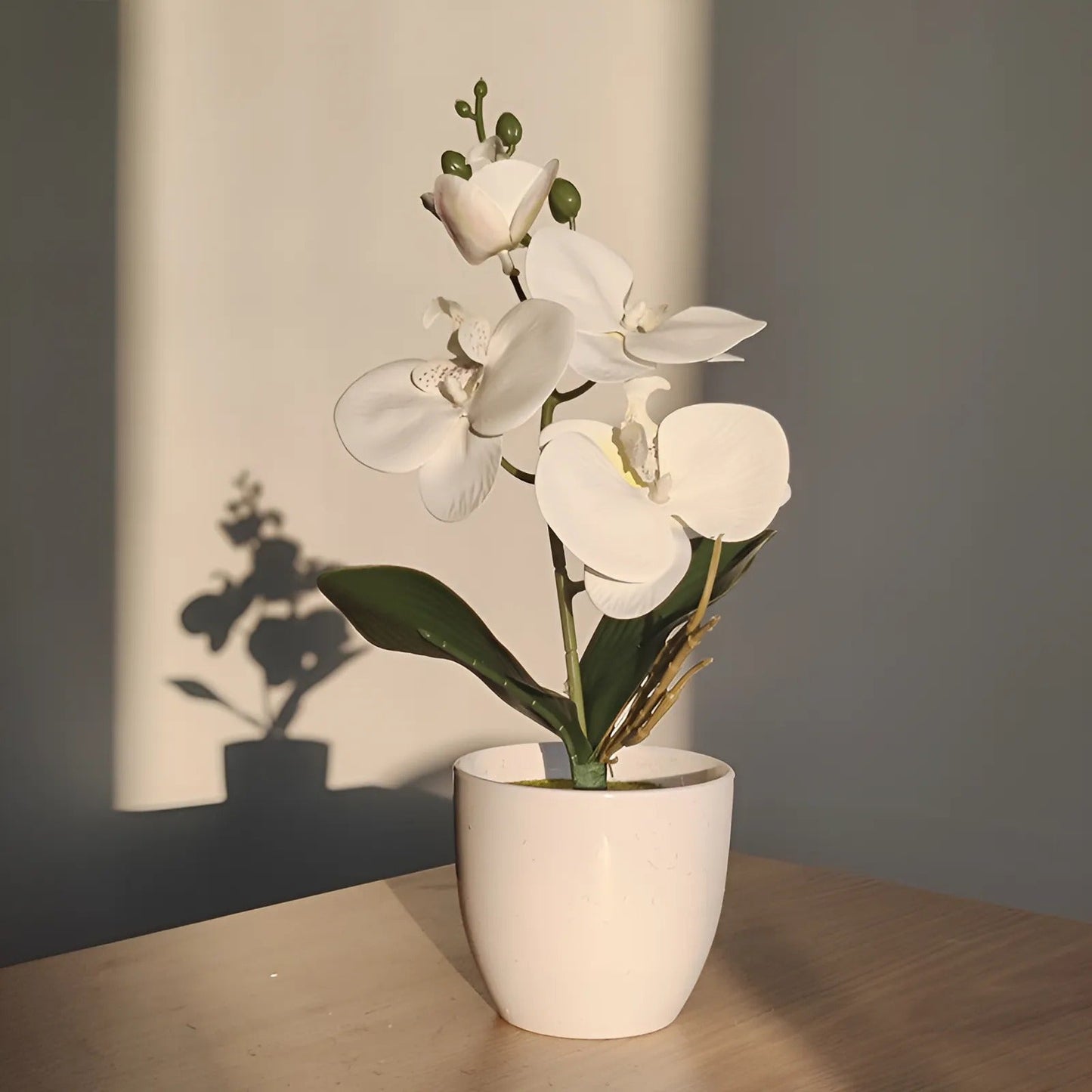 Avelena | Künstliche Bonsai Schmetterling-Orchidee Topfpflanze