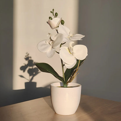 Avelena | Künstliche Bonsai Schmetterling-Orchidee Topfpflanze