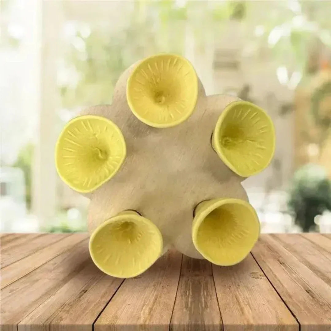 Avelena | Bijenzorg - PolliCup - Bestäuberfreundlich - Unterstützen Sie die Biodiversität