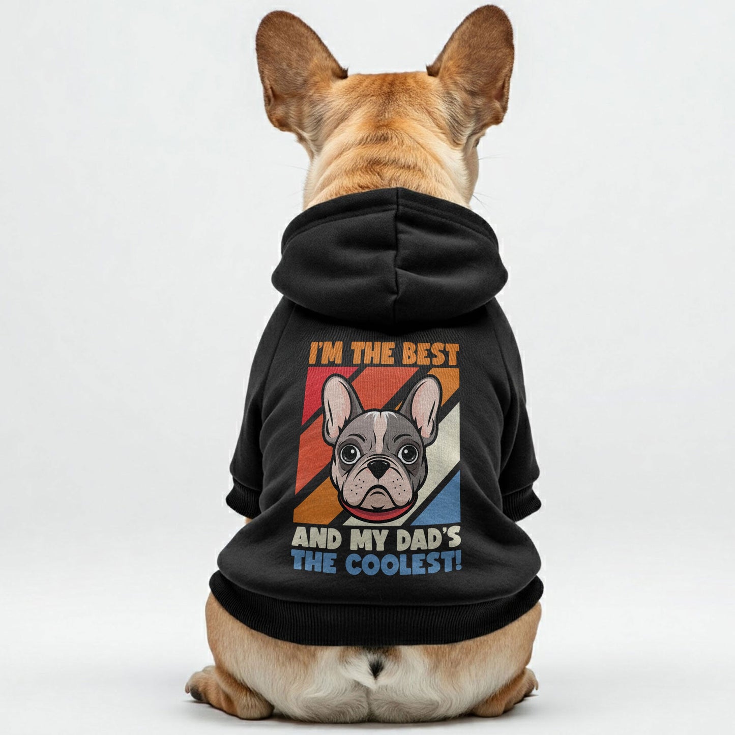 Avelena | Ich Bin Der Beste, Und Mein Papa Ist Der Coolste! Personalisierte Französische Bulldoggen-Pullover Mit Lustigen Sprüchen – Stilvoll, Gemütlich Und Premium 100% Baumwolle