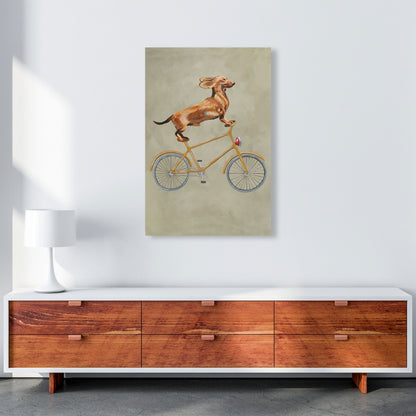 Avelena | Dackel Auf Fahrrad Kunstdruck Von Coco Deparis