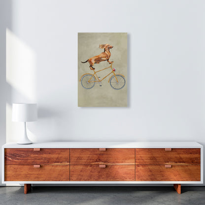 Avelena | Dackel Auf Fahrrad Kunstdruck Von Coco Deparis