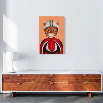 Avelena | Katze mit Helm Kunstdruck