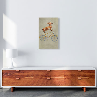 Avelena | Dackel Auf Fahrrad Kunstdruck Von Coco Deparis