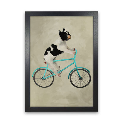 Avelena | Bulldog auf Fahrrad Kunstdruck
