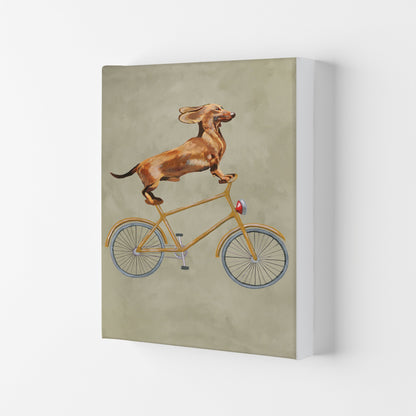 Avelena | Dackel Auf Fahrrad Kunstdruck Von Coco Deparis