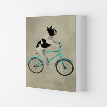 Avelena | Bulldog auf Fahrrad Kunstdruck
