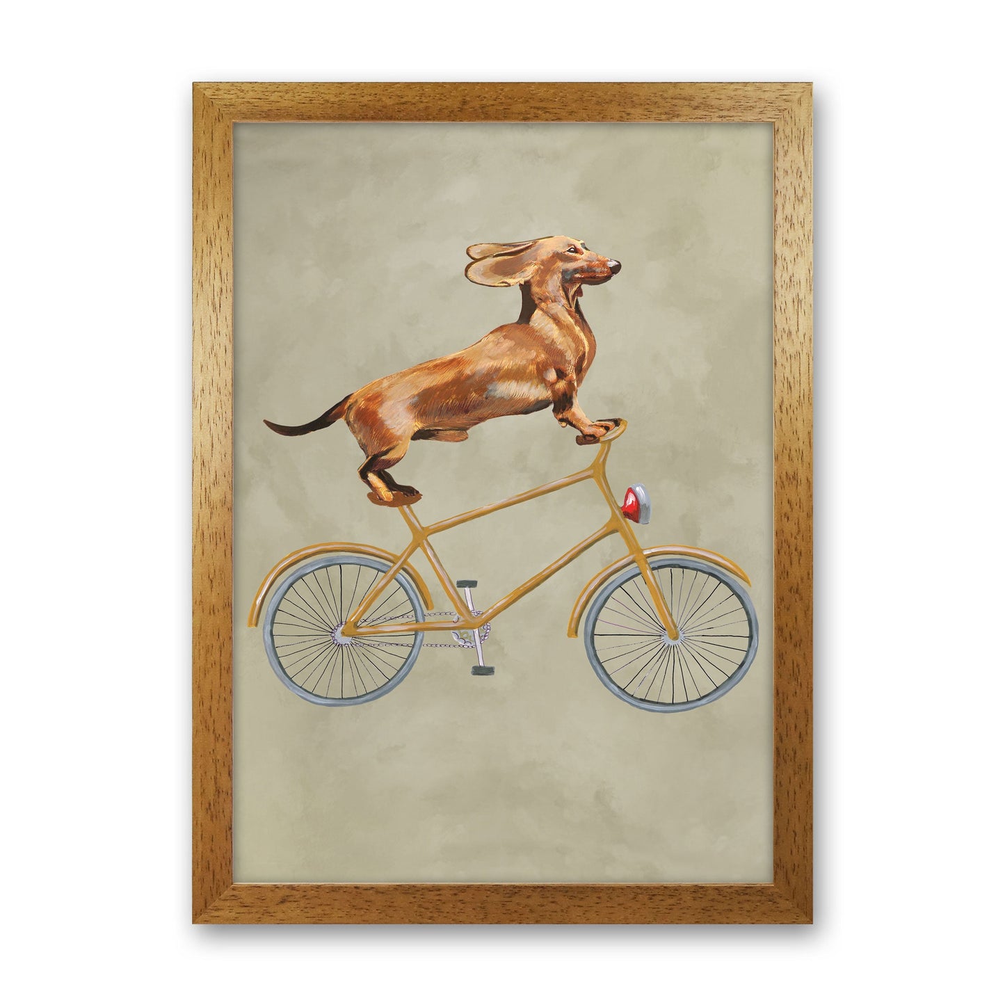 Avelena | Dackel Auf Fahrrad Kunstdruck Von Coco Deparis