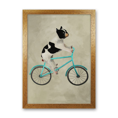 Avelena | Bulldog auf Fahrrad Kunstdruck