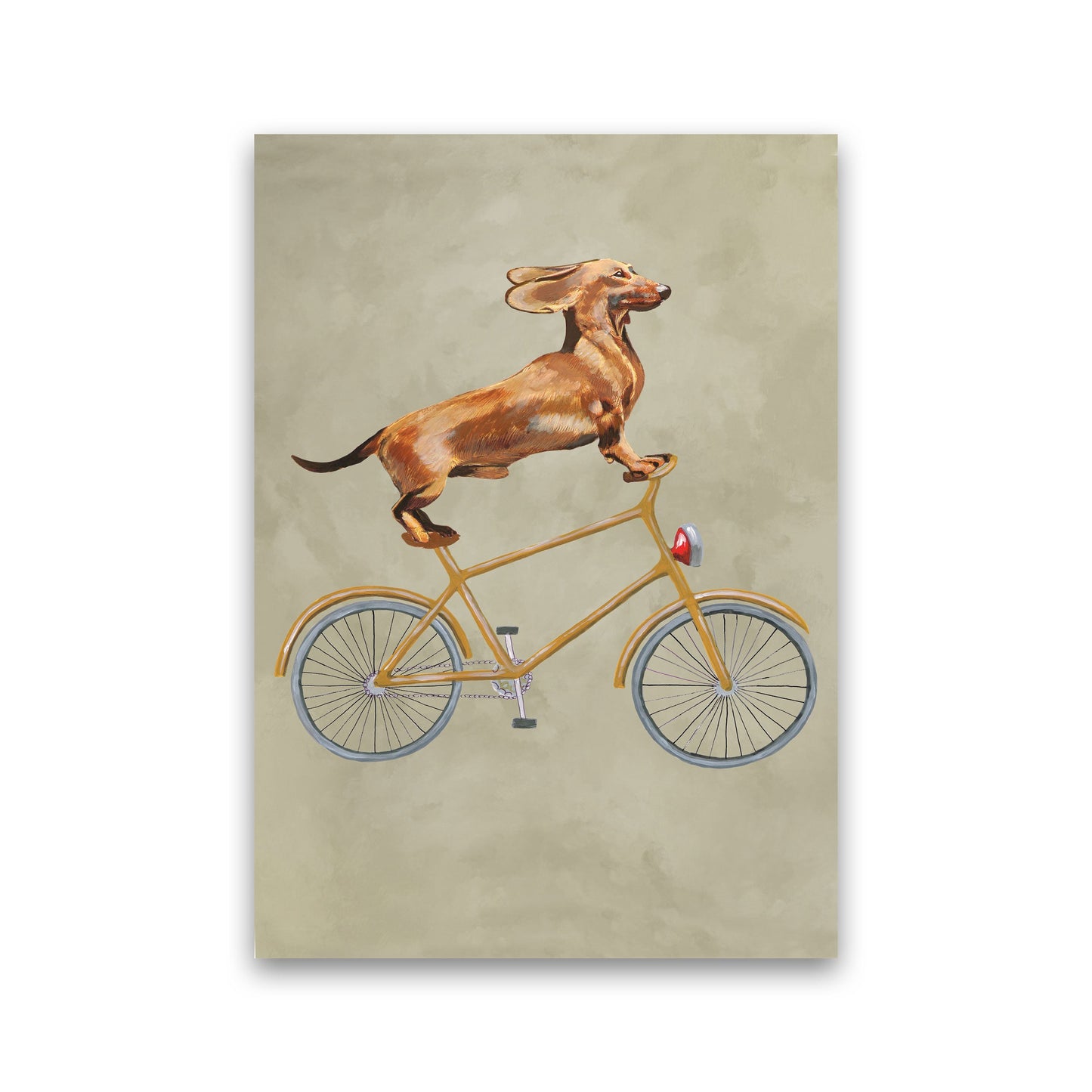 Avelena | Dackel Auf Fahrrad Kunstdruck Von Coco Deparis