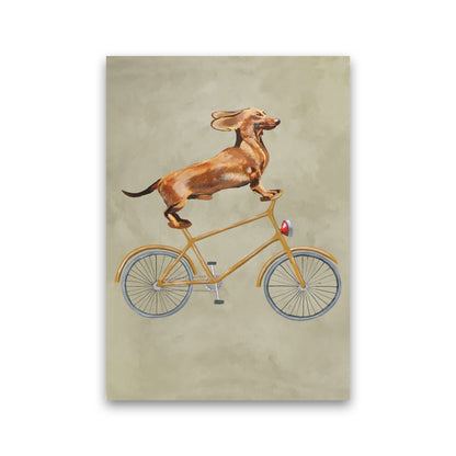 Avelena | Dackel Auf Fahrrad Kunstdruck Von Coco Deparis