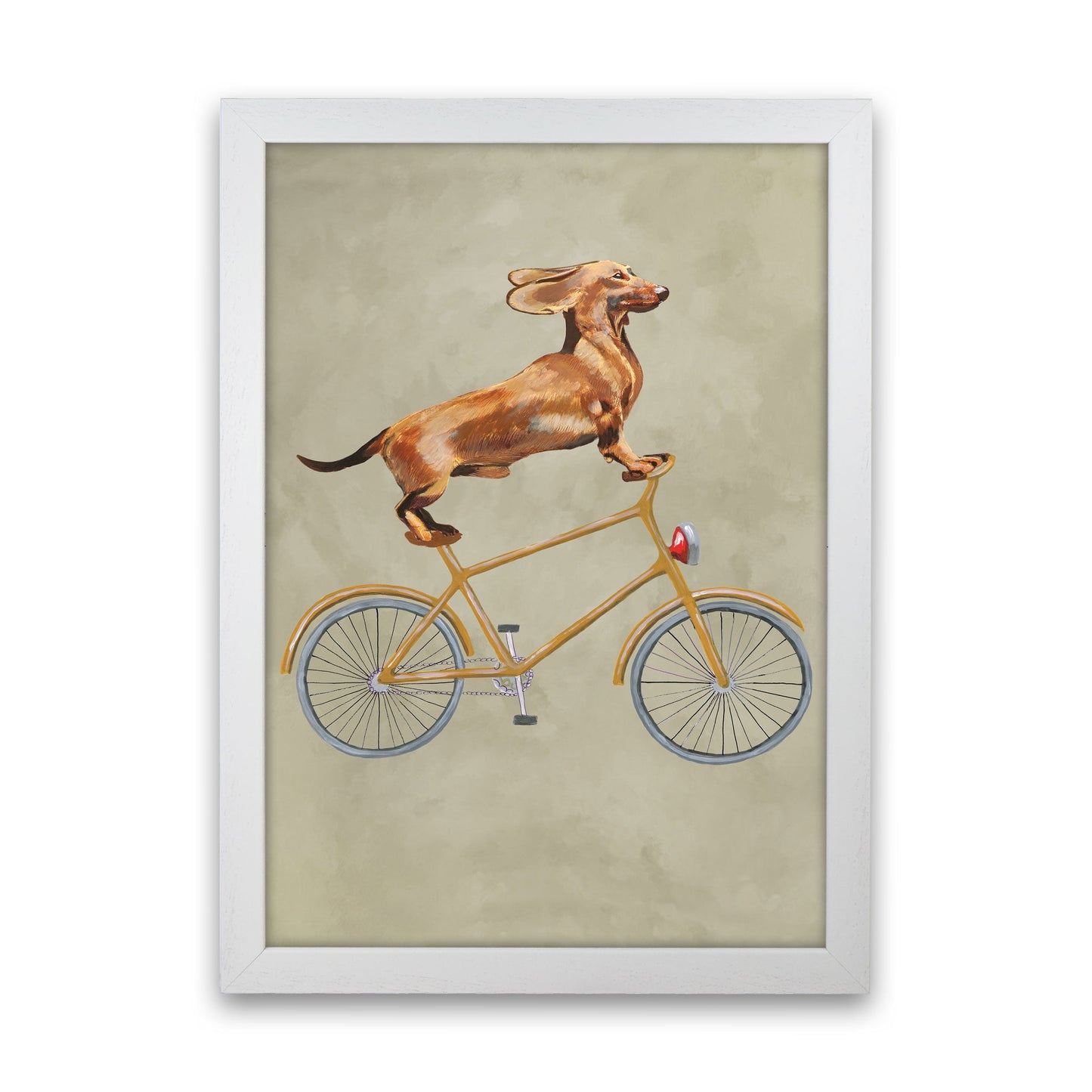 Avelena | Dackel Auf Fahrrad Kunstdruck Von Coco Deparis