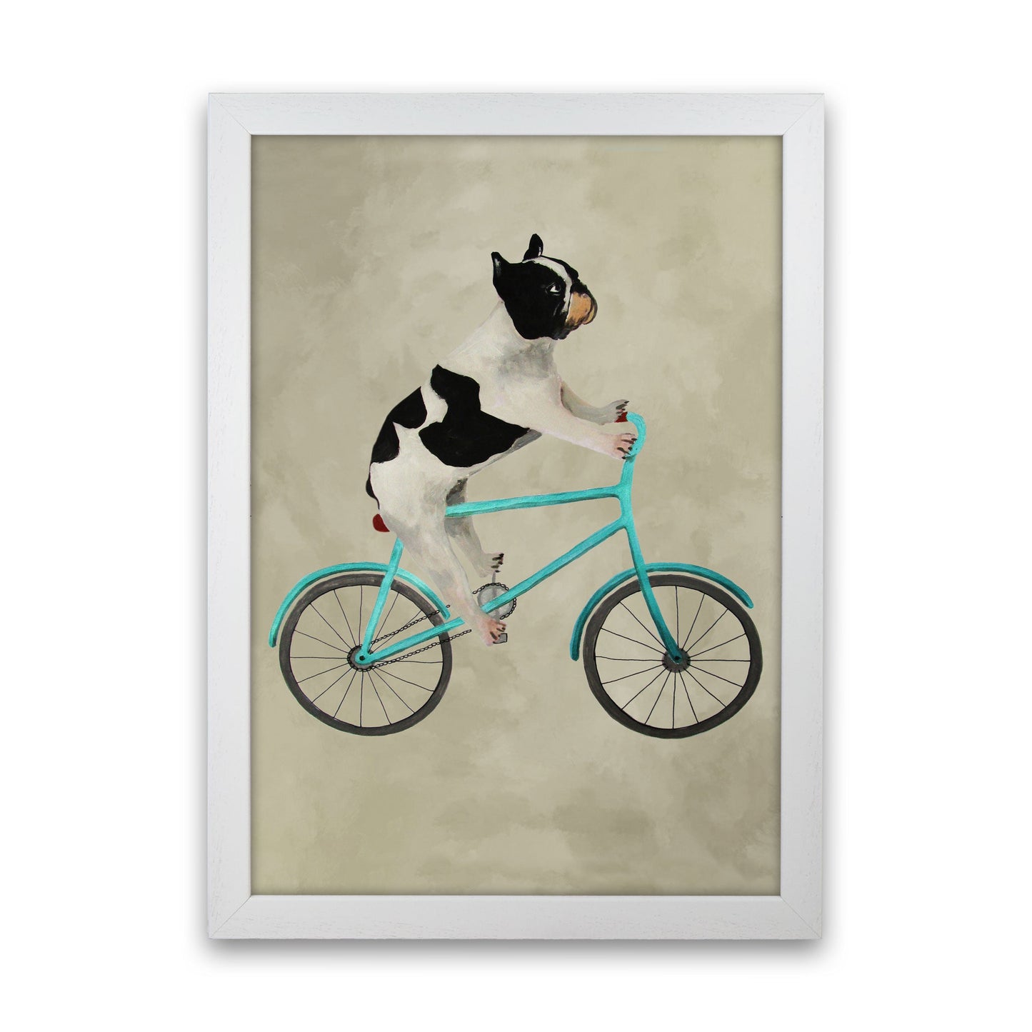 Avelena | Bulldog auf Fahrrad Kunstdruck