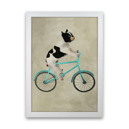 Avelena | Bulldog auf Fahrrad Kunstdruck
