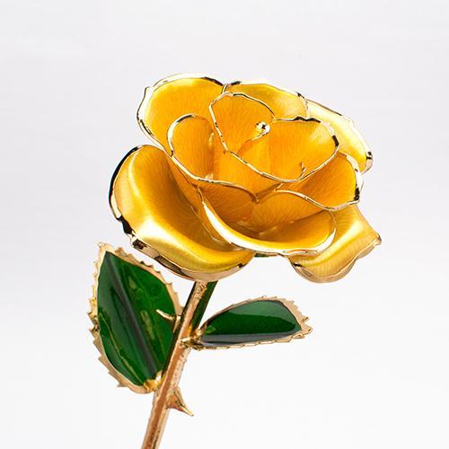 Avelena | Bloom Eternal 24K Gold Rose