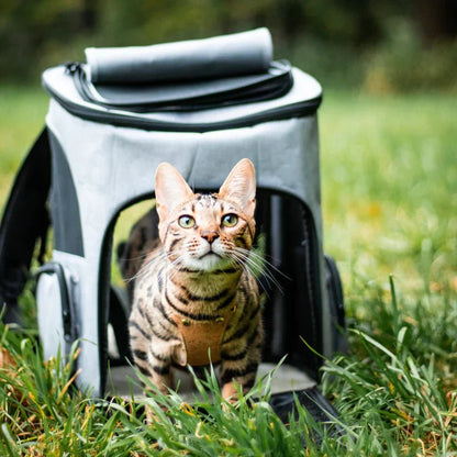 Avelena | Bequemer Katzenrucksack mit Sichtfenster